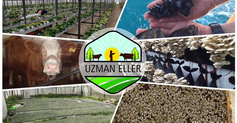 2023 Yılı Uzman Eller Proje Başvuruları Başladı